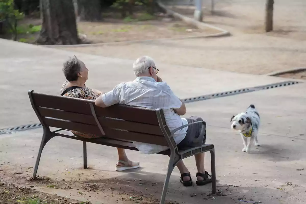 Dos personas mayores sentadas en una banca de parque observan a un perro pequeño que camina cerca de ellos