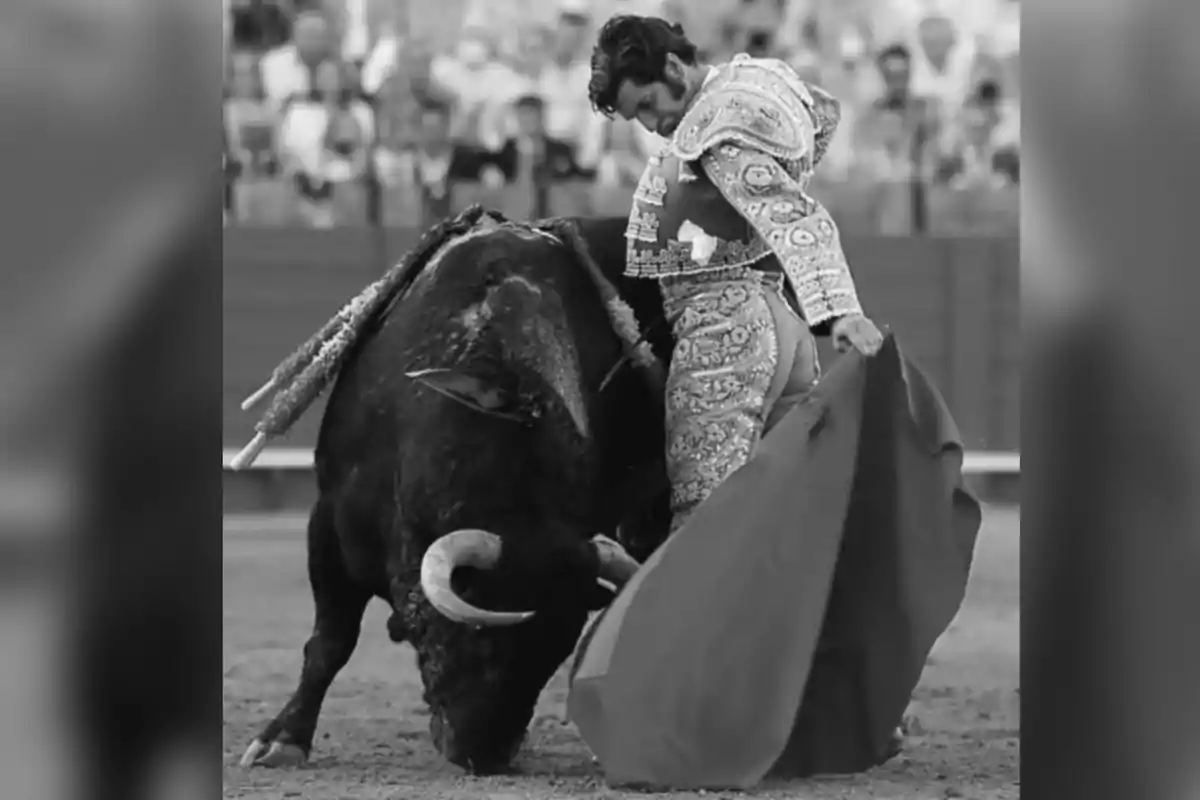 Morante de la Puebla vestido con traje tradicional sostiene una capa frente a un toro en una plaza de toros llena de espectadores
