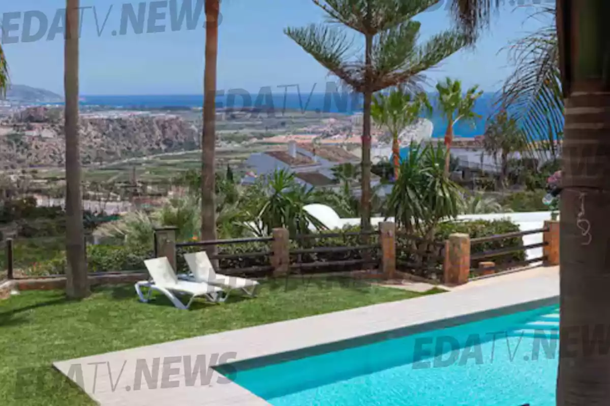 Vista de una piscina con tumbonas rodeada de palmeras y vegetación con el mar y montañas al fondo en un día soleado