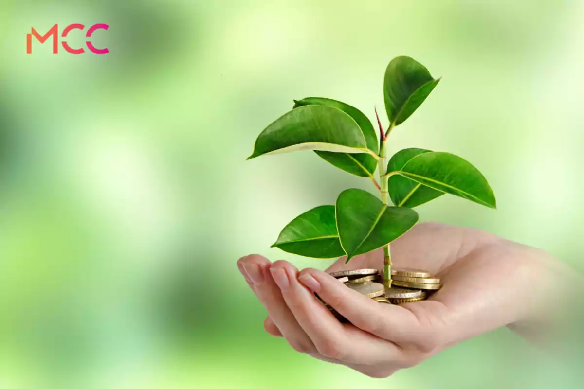 Mano sosteniendo monedas de las que crece una planta verde sobre un fondo desenfocado