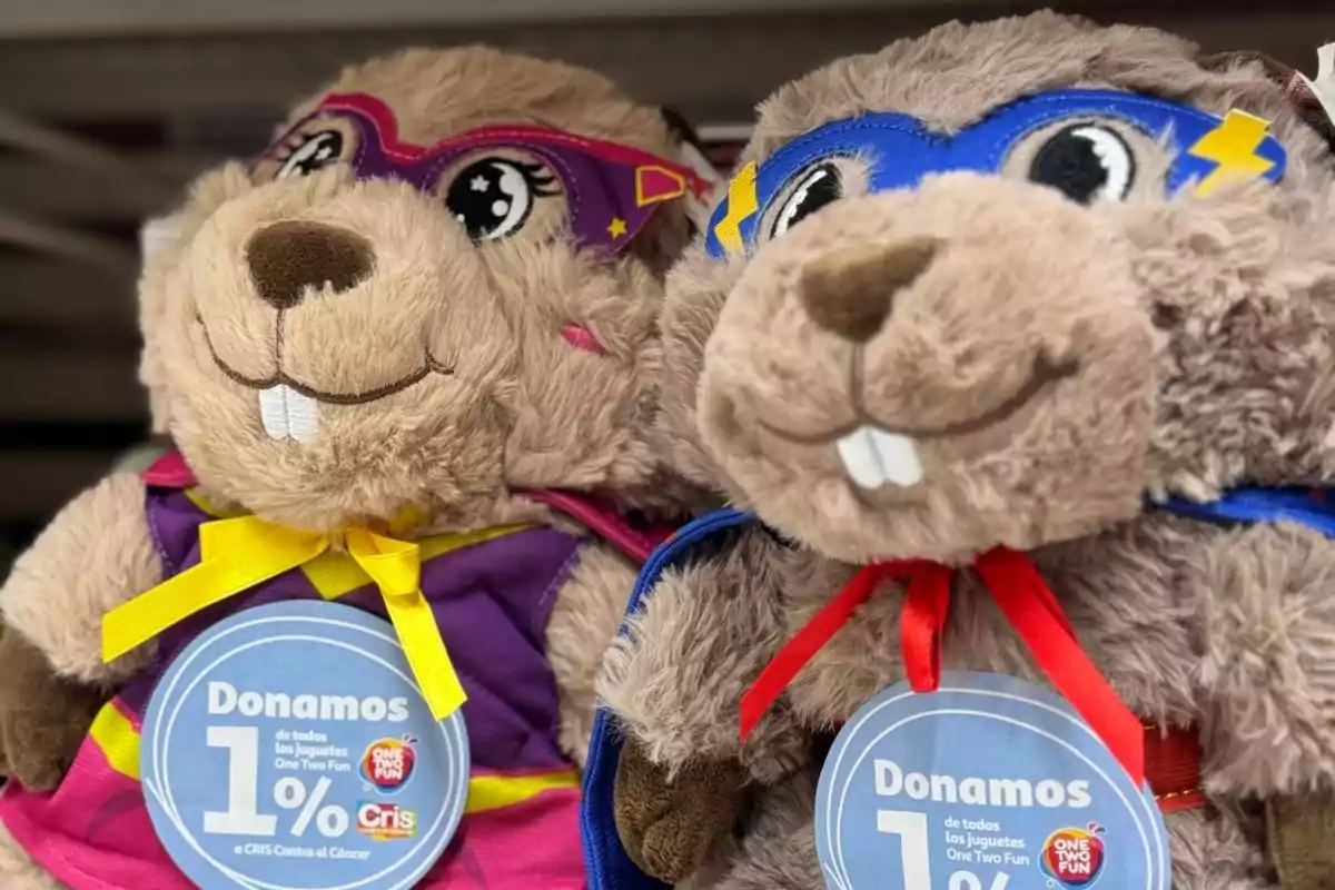 Dos peluches de castor con disfraces de superhéroes, uno con antifaz rosa y capa morada y el otro con antifaz azul y capa azul, ambos con etiquetas de donación en el pecho