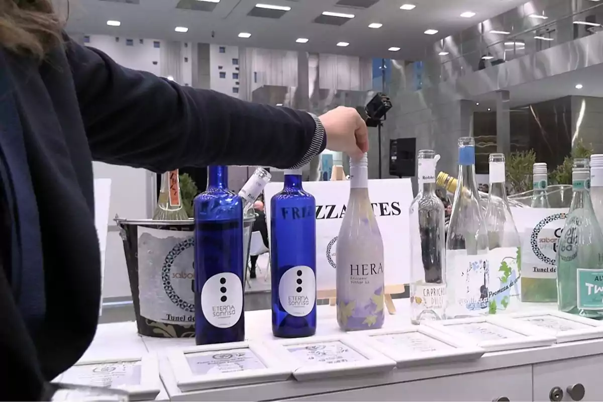 Persona tomando una botella de vino entre varias botellas de diferentes colores y etiquetas en una mesa de degustación en un ambiente moderno y luminoso