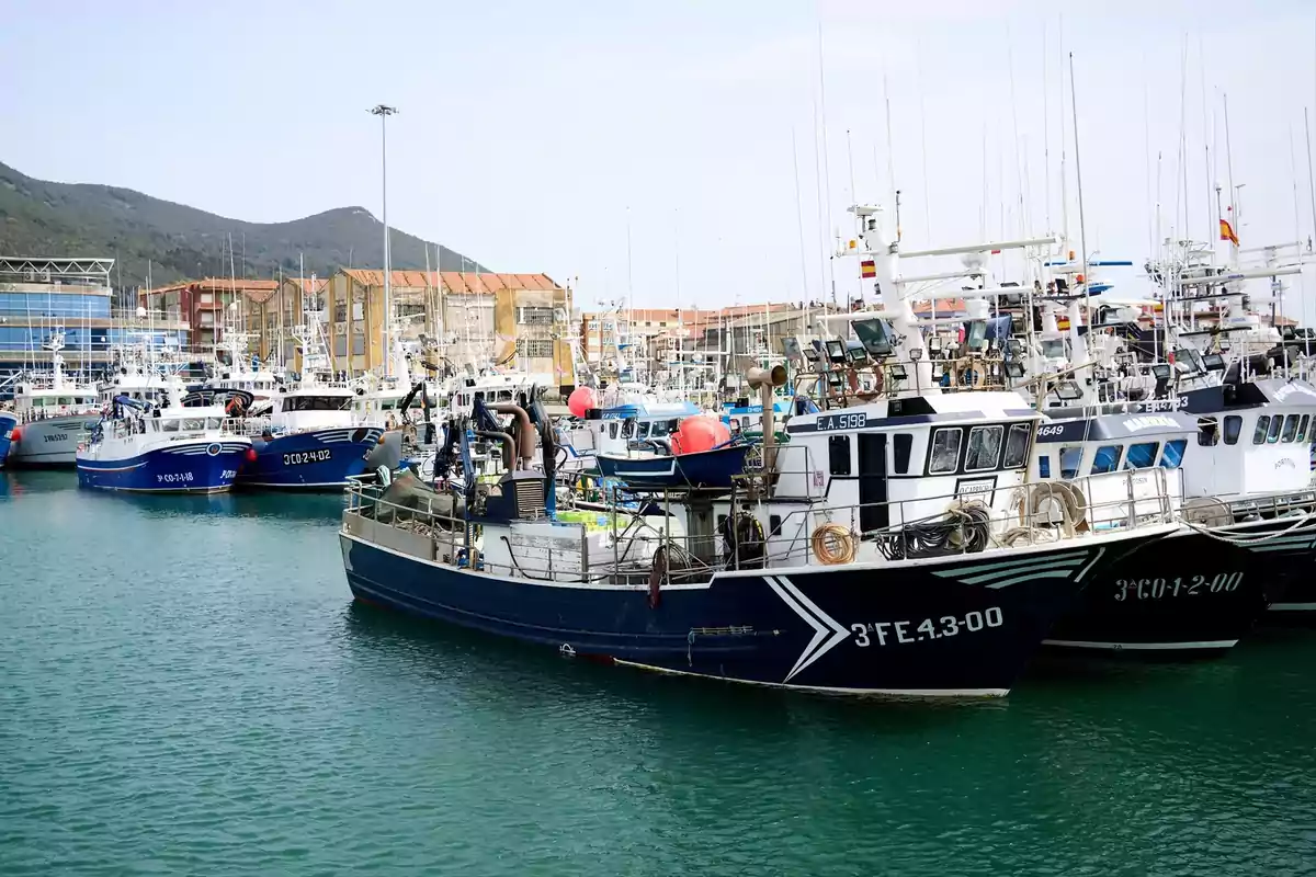 Barcos pesqueros atracados en un puerto con edificios y montañas al fondo