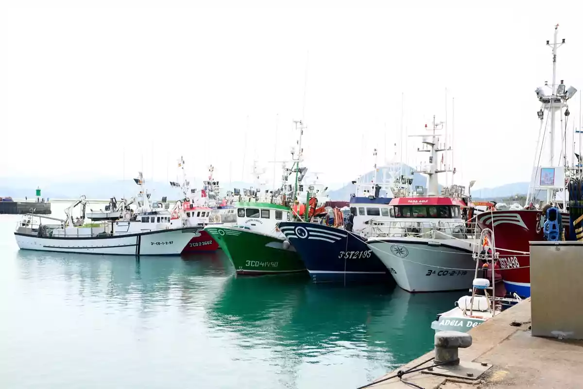 Barcos pesqueros atracados en un puerto sobre aguas tranquilas