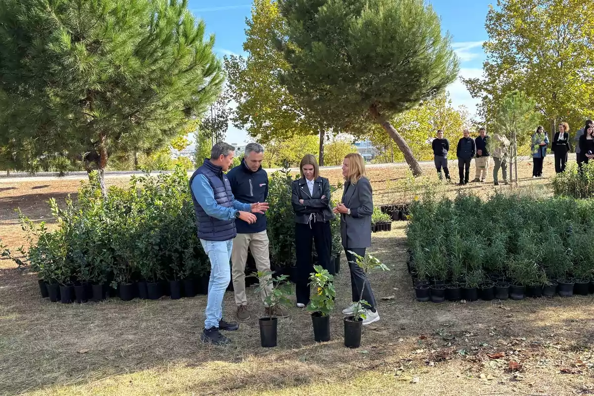 Cuatro personas conversan al aire libre en un vivero rodeados de plantas en macetas y árboles, mientras otras personas observan a lo lejos.