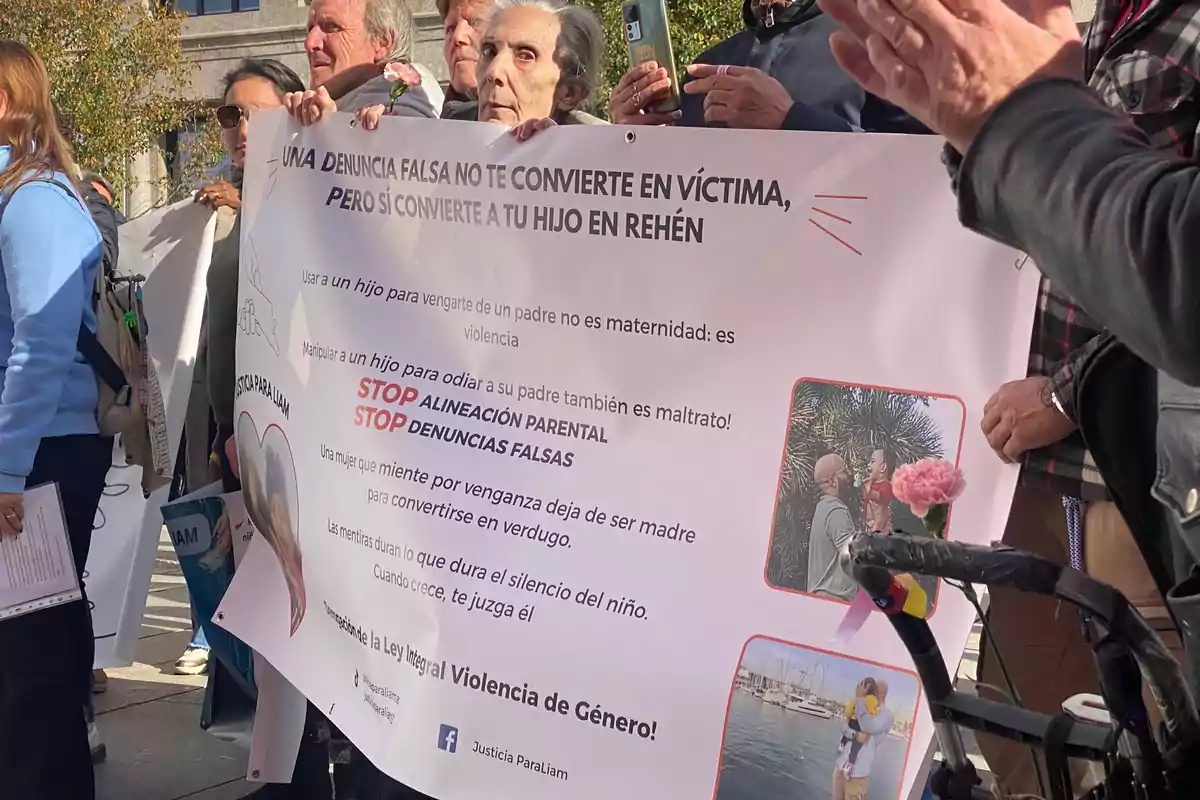 Varias personas mayores sostienen una pancarta en una manifestación al aire libre, con mensajes en contra de la alienación parental y las denuncias falsas, mientras una flor rosa adorna la esquina del cartel.