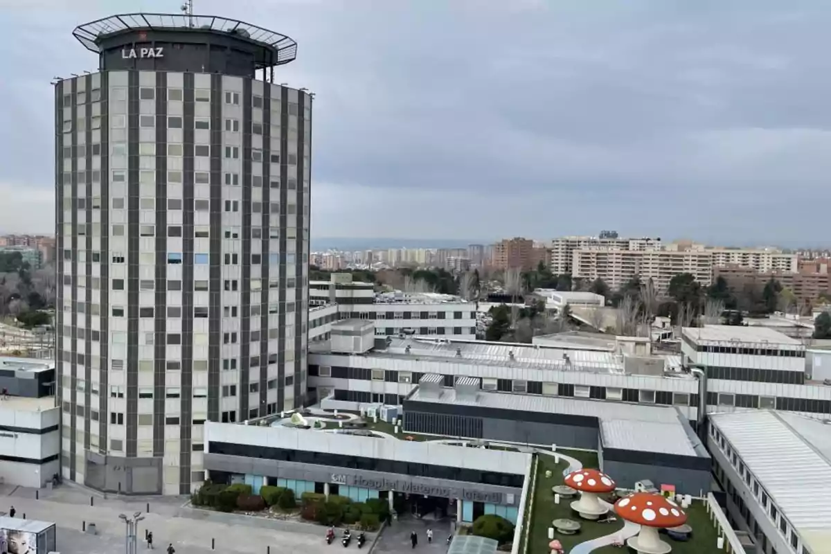 Edificio alto de hospital con fachada gris y ventanas cuadradas rodeado de otros edificios más bajos y una zona verde con figuras de setas grandes decorativas en la parte inferior derecha