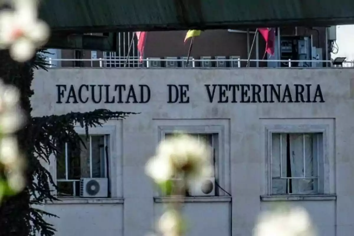 Fachada de un edificio con el letrero Facultad de Veterinaria y algunas flores desenfocadas en primer plano