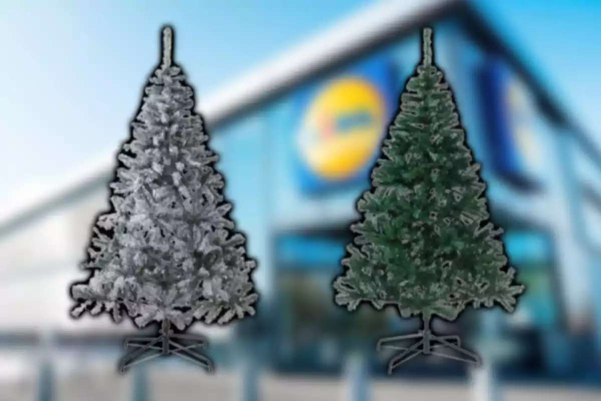 Dos árboles de Navidad artificiales, uno nevado y otro verde, están frente a una tienda con el logo de Lidl desenfocado al fondo.