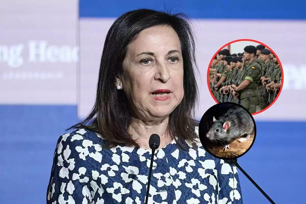 Mujer hablando frente a un micrófono con dos círculos superpuestos que muestran a un grupo de soldados y una rata