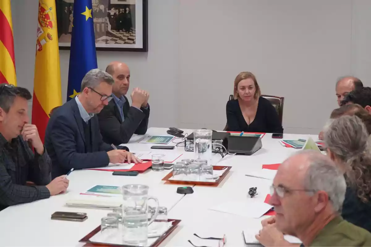 Varias personas sentadas alrededor de una mesa en una reunión de trabajo con banderas de España, la Unión Europea y otra bandera autonómica al fondo.