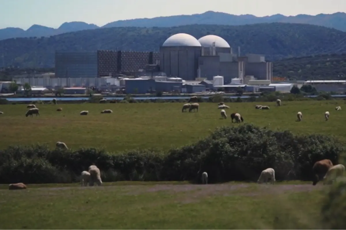 Central nuclear al fondo con un campo verde y ovejas pastando en primer plano