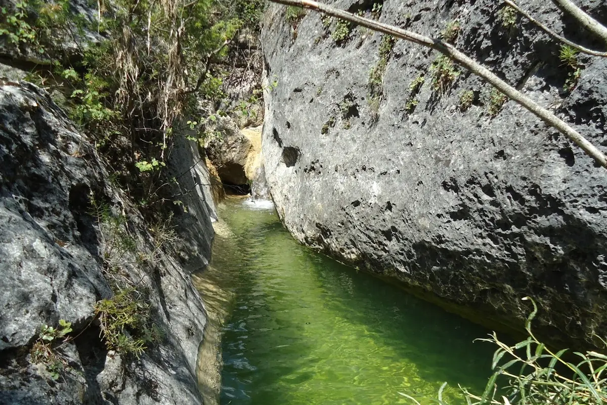 Estrecho cauce de agua verde entre grandes rocas grises y vegetación silvestre