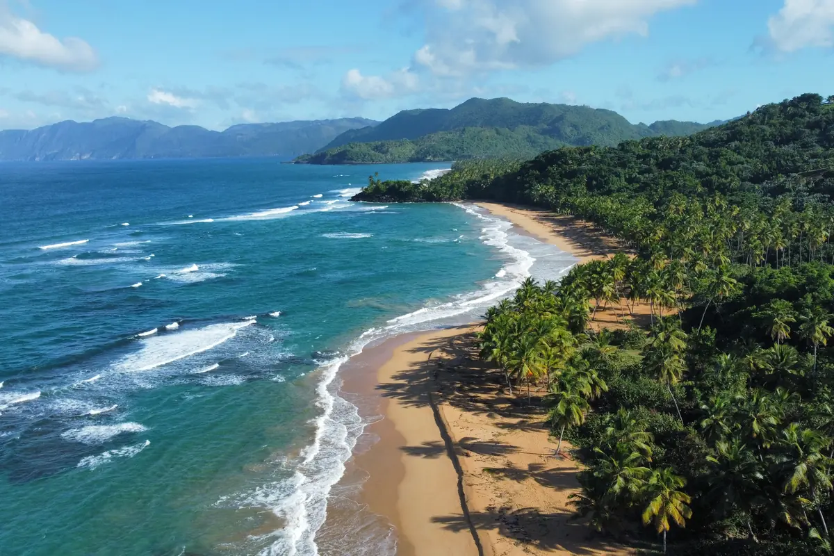 Playa de arena dorada con palmeras y olas suaves junto a una zona de vegetación y montañas al fondo bajo un cielo azul con algunas nubes