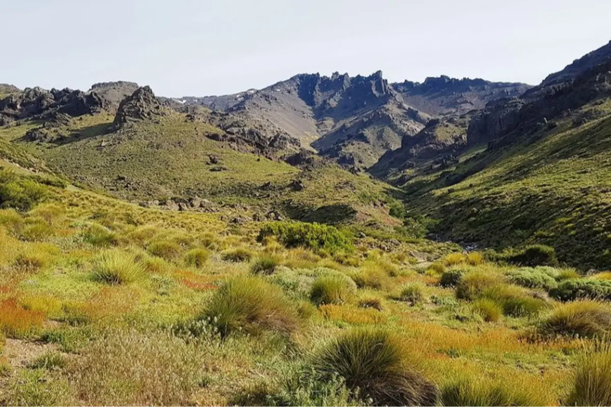 Paisaje de montaña con vegetación verde y arbustos bajos bajo un cielo despejado
