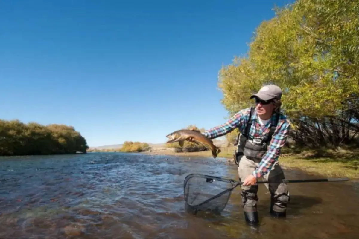 Persona pescando con caña en un río sosteniendo un pez grande con una red en el agua y árboles al fondo Persona pescando con caña en un río sosteniendo un pez grande con una red en el agua y árboles al fondo