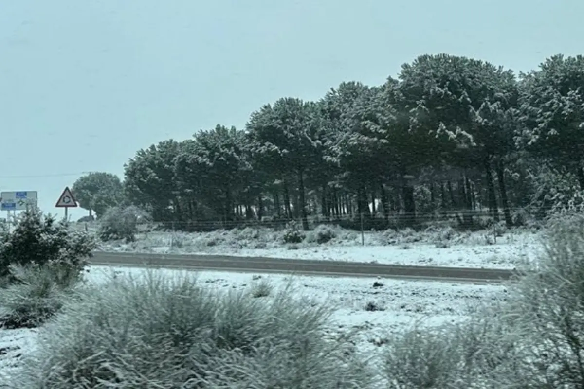 Carretera rural junto a un bosque de pinos cubierta por una fina capa de nieve Carretera rural junto a un bosque de pinos cubierta por una fina capa de nieve