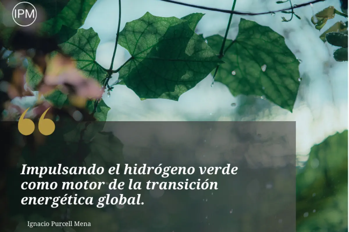 Fondo de hojas verdes con gotas de agua y una cita sobre impulsar el hidrógeno verde como motor de la transición energética global