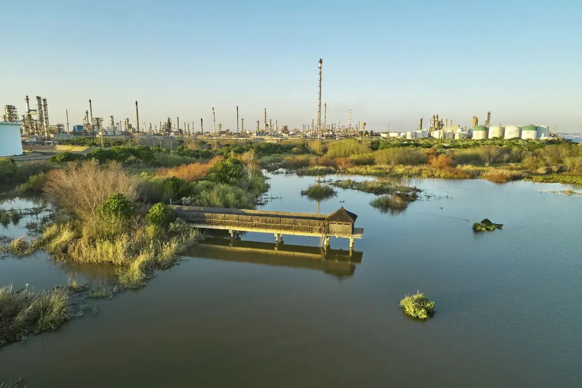 Humedal con vegetación y pasarela de madera frente a un gran complejo industrial con tanques y chimeneas al fondo