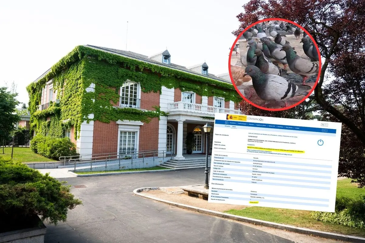 Fachada de un edificio oficial cubierto de enredaderas con un recuadro que muestra un grupo de palomas y otro recuadro con una captura de pantalla de un documento administrativo