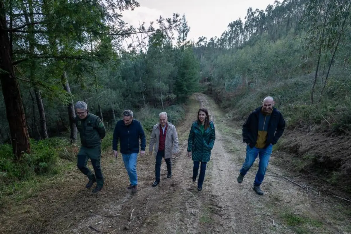 Cinco personas caminando por un camino de tierra rodeado de árboles en un bosque