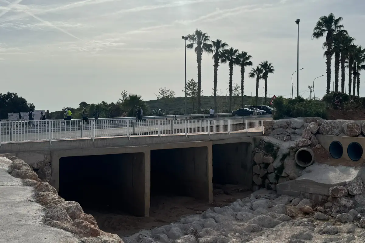Puente de hormigón sobre un cauce seco con barandilla blanca y varias personas y coches en la parte superior rodeado de palmeras y rocas Puente de hormigón sobre un cauce seco con barandilla blanca y varias personas y coches en la parte superior rodeado de palmeras y rocas