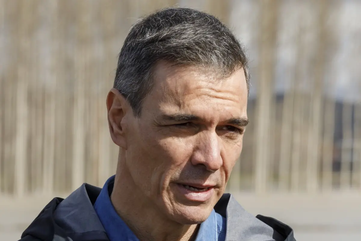 Primer plano de un hombre de mediana edad con chaqueta gris y camisa azul al aire libre con fondo desenfocado de árboles