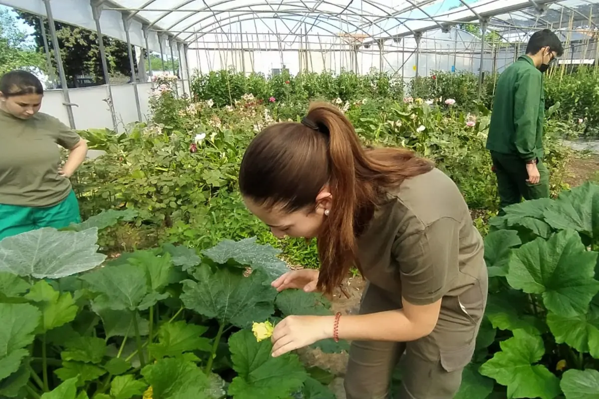 Jóvenes trabajando y observando plantas en un invernadero lleno de vegetación Jóvenes trabajando y observando plantas en un invernadero lleno de vegetación