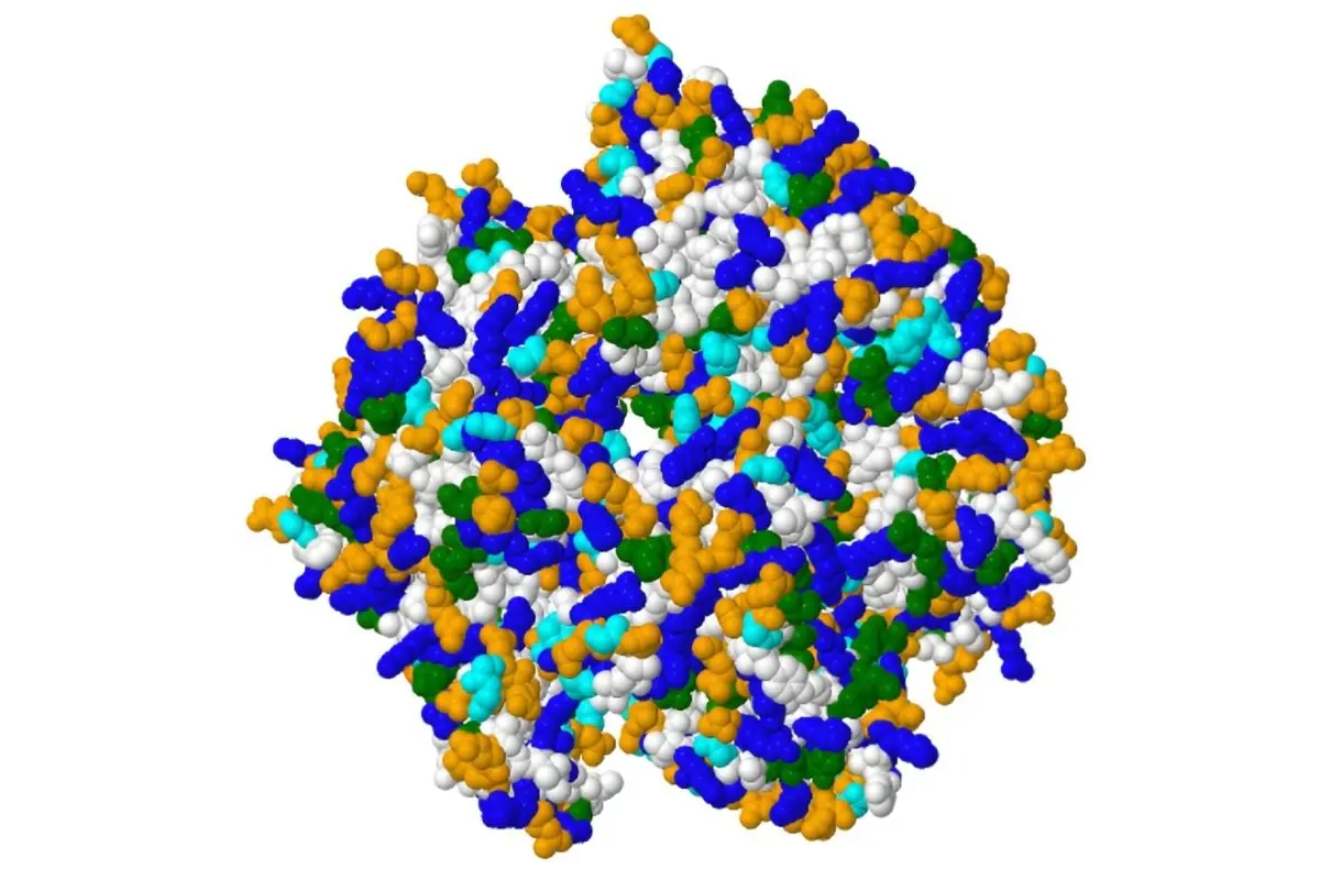 Modelo molecular tridimensional de una proteína compleja representada por esferas de colores blanco azul verde turquesa y naranja