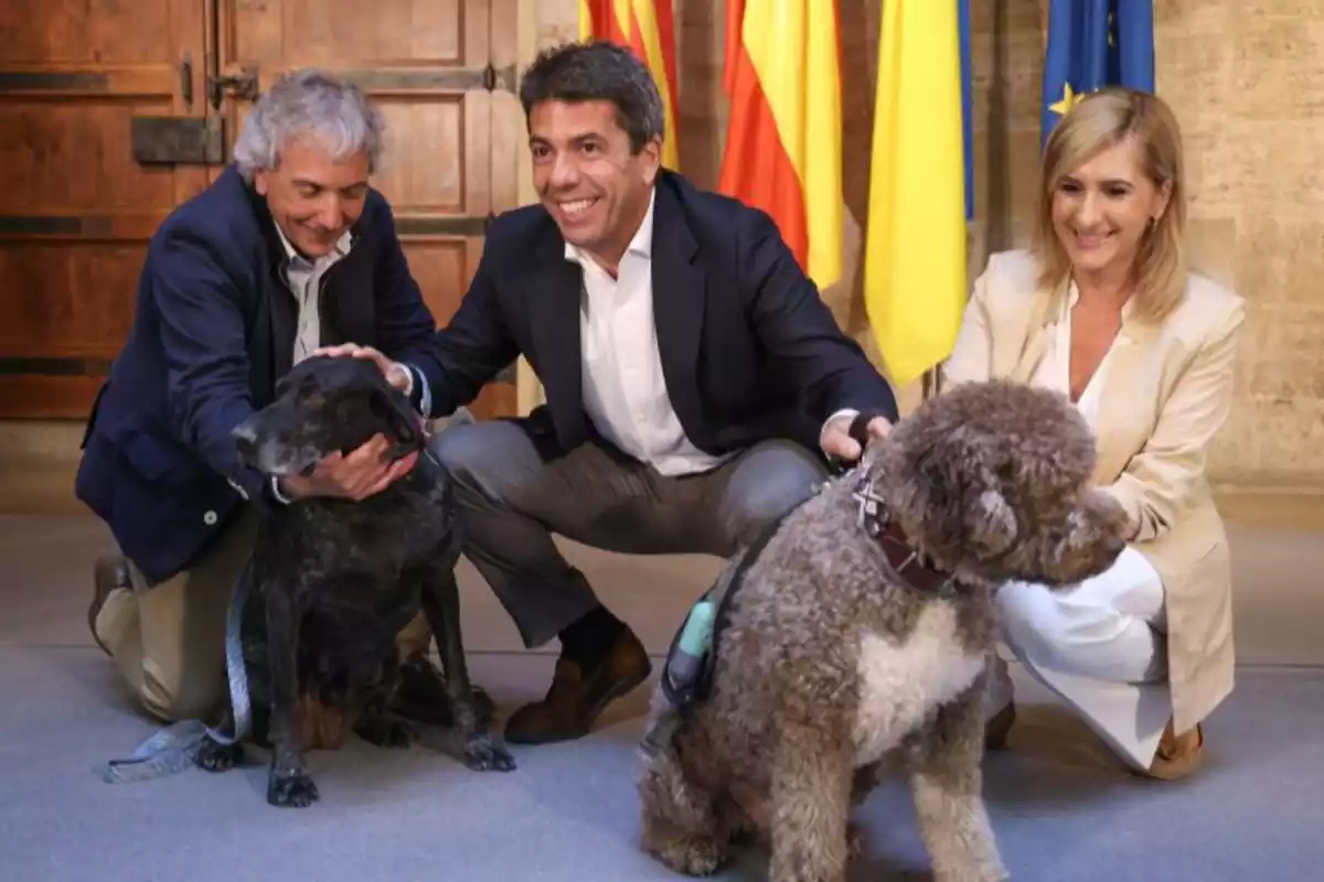 Carlos Mazón con mascotas en el Palau de la Generalitat