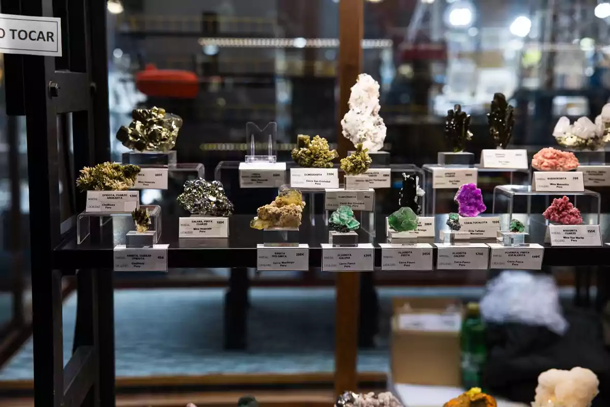 Exhibición de minerales y piedras preciosas en un museo, con etiquetas que indican nombres y precios.