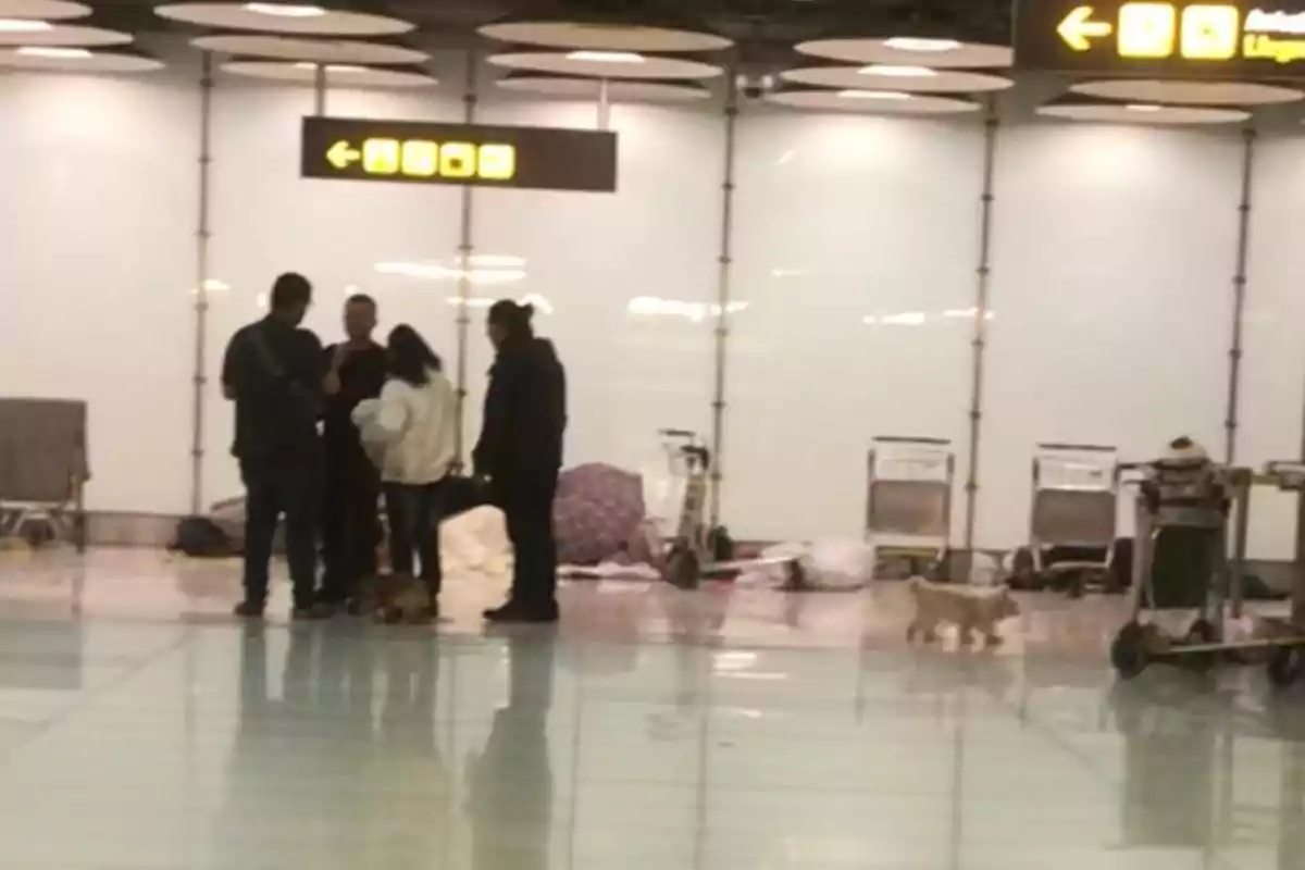 Un grupo de personas está reunido en un área de un aeropuerto, con carritos de equipaje y algunas pertenencias en el suelo, mientras un perro camina cerca. Un grupo de personas está reunido en un área de un aeropuerto, con carritos de equipaje y algunas pertenencias en el suelo, mientras un perro camina cerca.