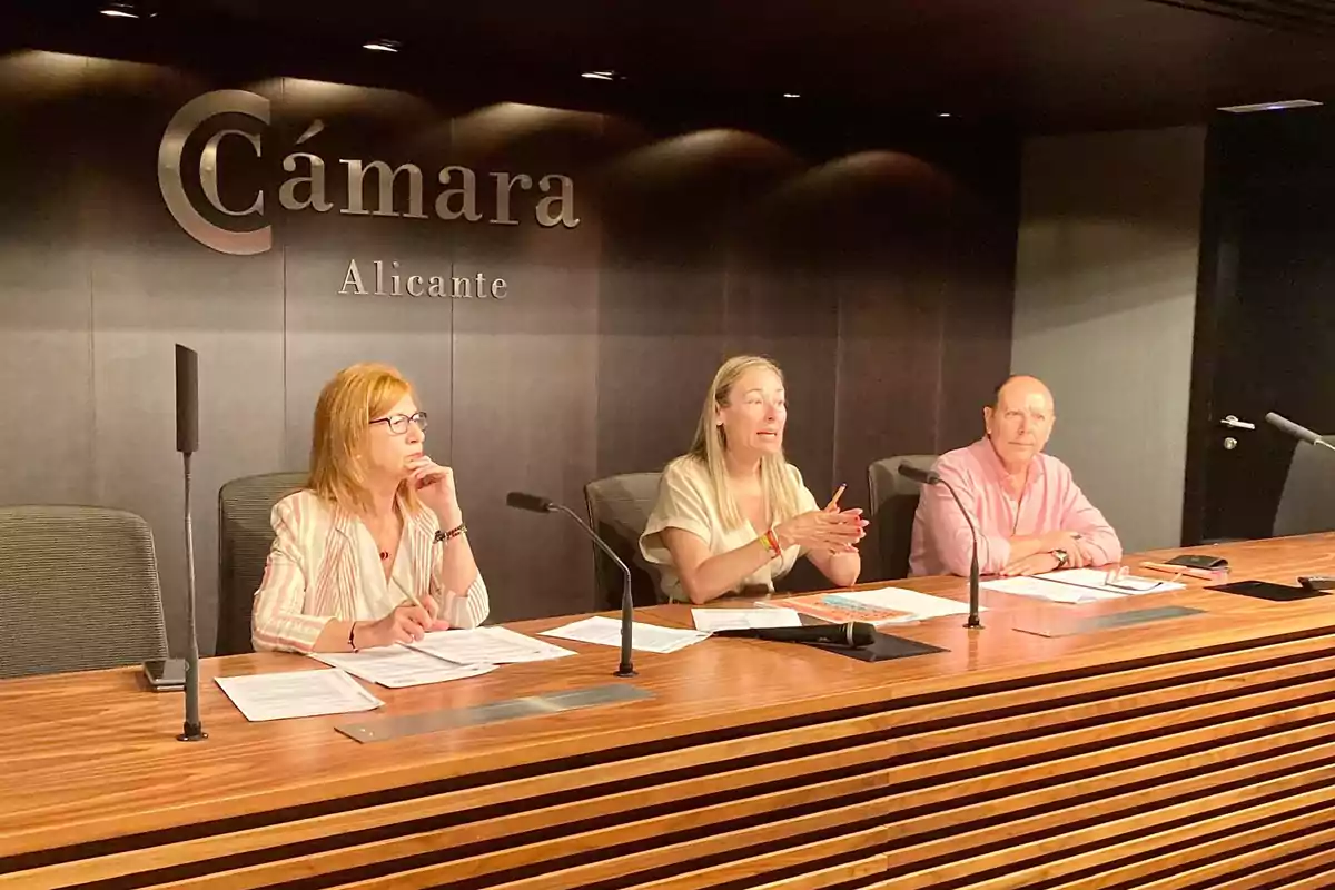 Lidia López, concejal de Comercio, durante la presentación