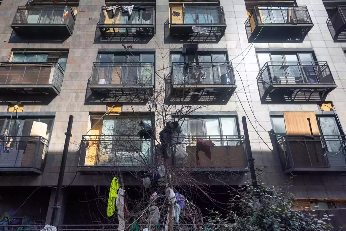 Edificio de apartamentos con balcones donde se observa ropa colgada y un árbol en primer plano con objetos enredados en sus ramas. Edificio de apartamentos con balcones donde se observa ropa colgada y un árbol en primer plano con objetos enredados en sus ramas.