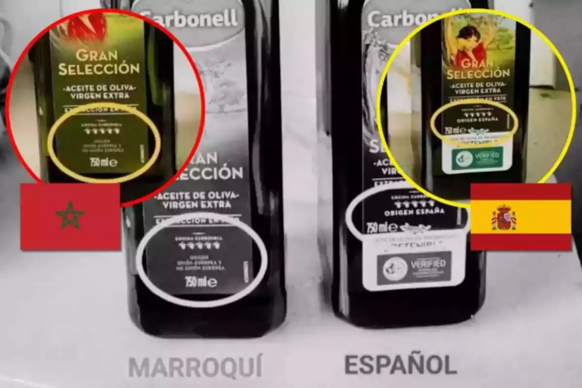 Two bottles of extra virgin olive oil from the Carbonell brand, one with a Moroccan origin label and the other with a Spanish origin label, with the flags of Morocco and Spain respectively.