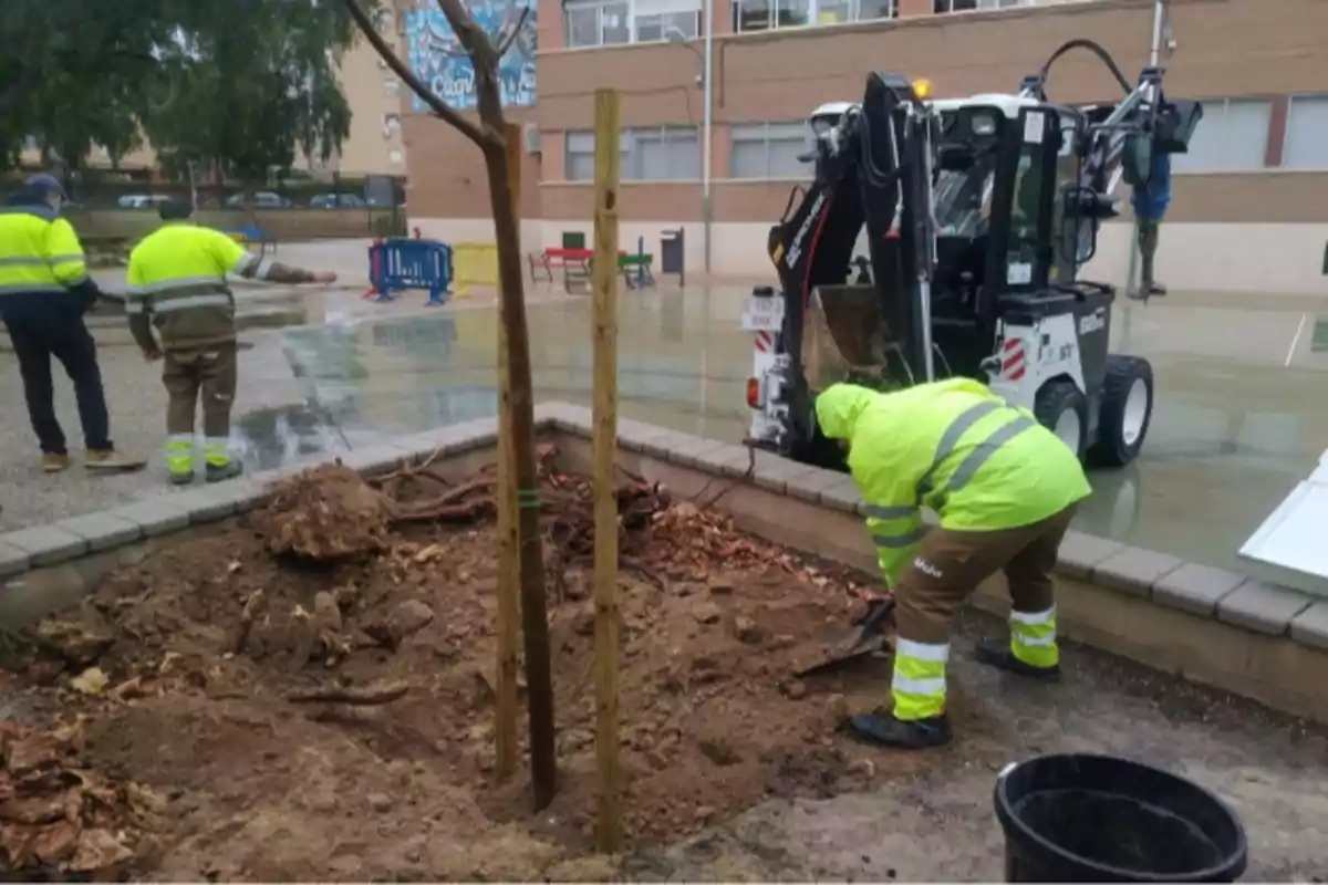 Trabajadores en un colegio de Alicante