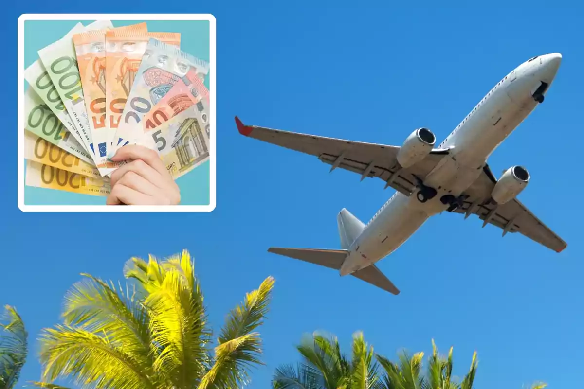 Montaje fotográfico mostrando un manojo de billetes de euro y la sombra de un avión sobre una playa tropical. La imagen ilustra cómo los viajes al extranjero pueden afectar las prestaciones por desempleo del SEPE