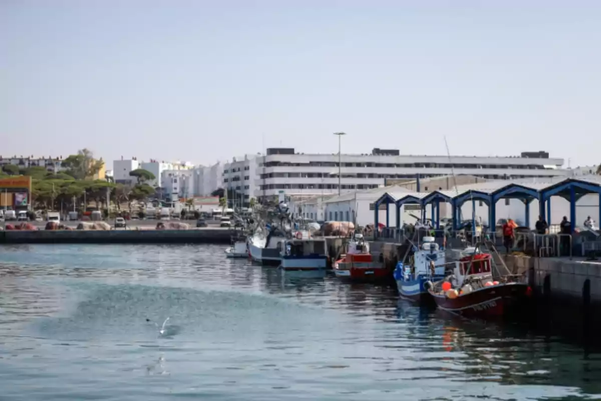 Puerto de Barbate (Cádiz)