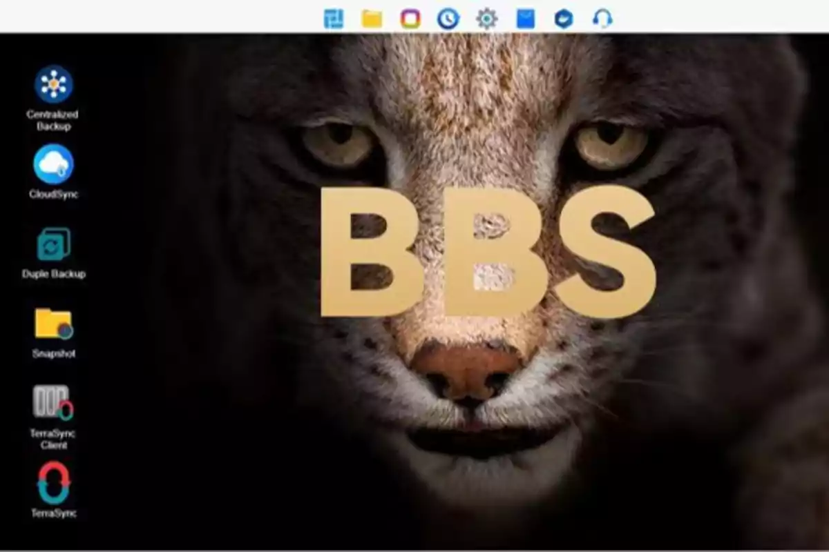 Pantalla de inicio de un sistema de respaldo de datos con un fondo de un felino y las letras "BBS" en grande, con varios iconos de aplicaciones en el lado izquierdo.