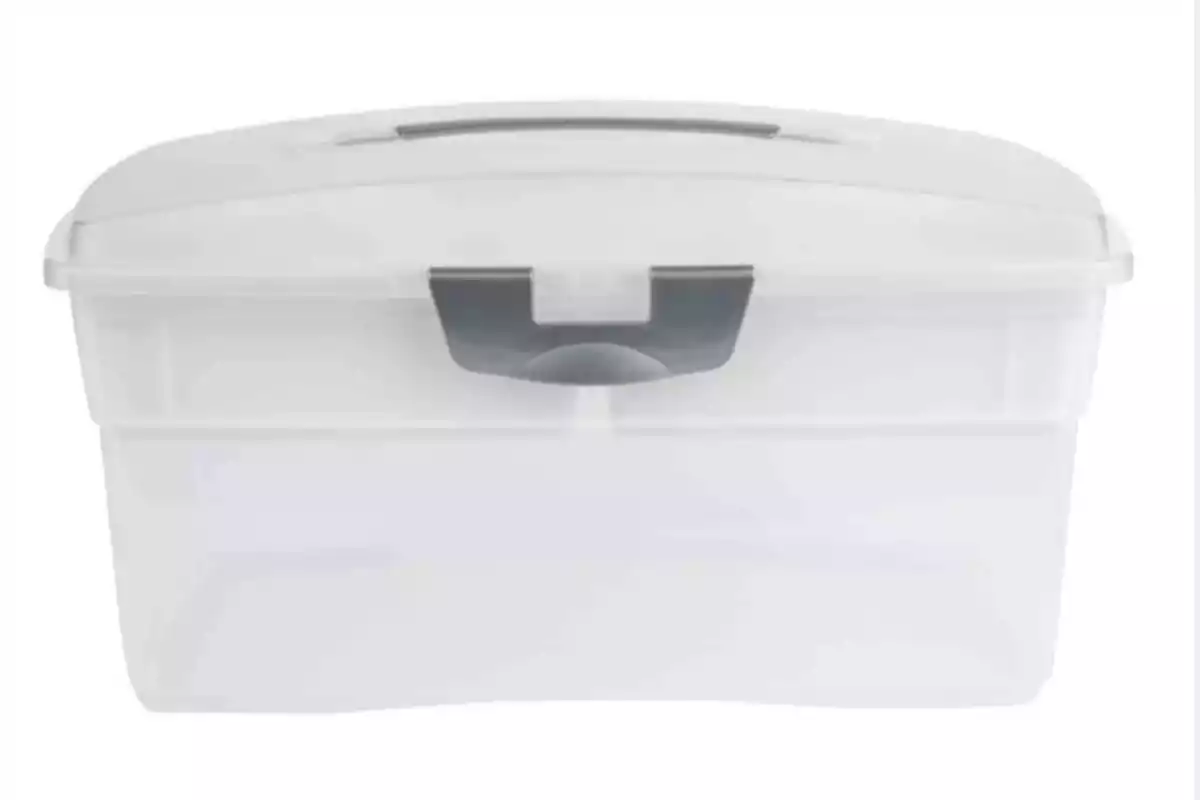 Caja organizadora de plástico transparente con tapa y seguro gris Caja organizadora de plástico transparente con tapa y seguro gris