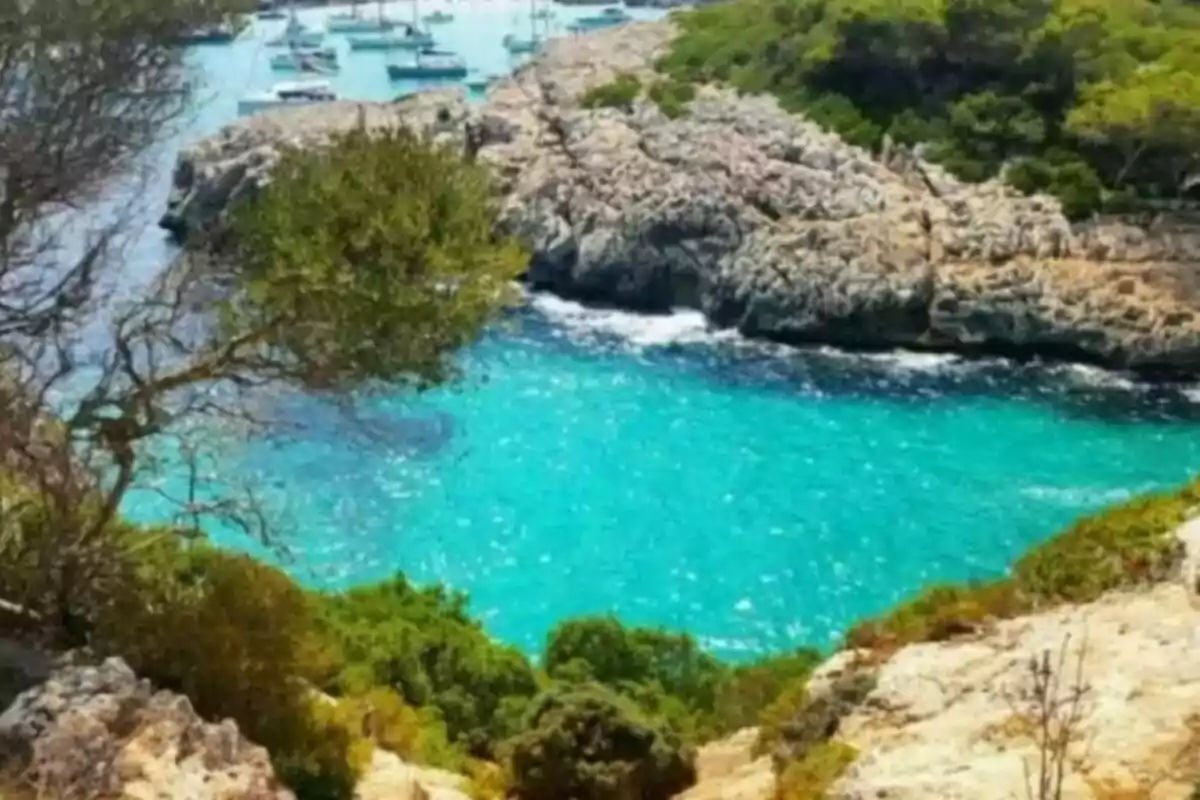 Una cala con aguas turquesas rodeada de rocas y vegetación, con varios barcos anclados en el fondo.