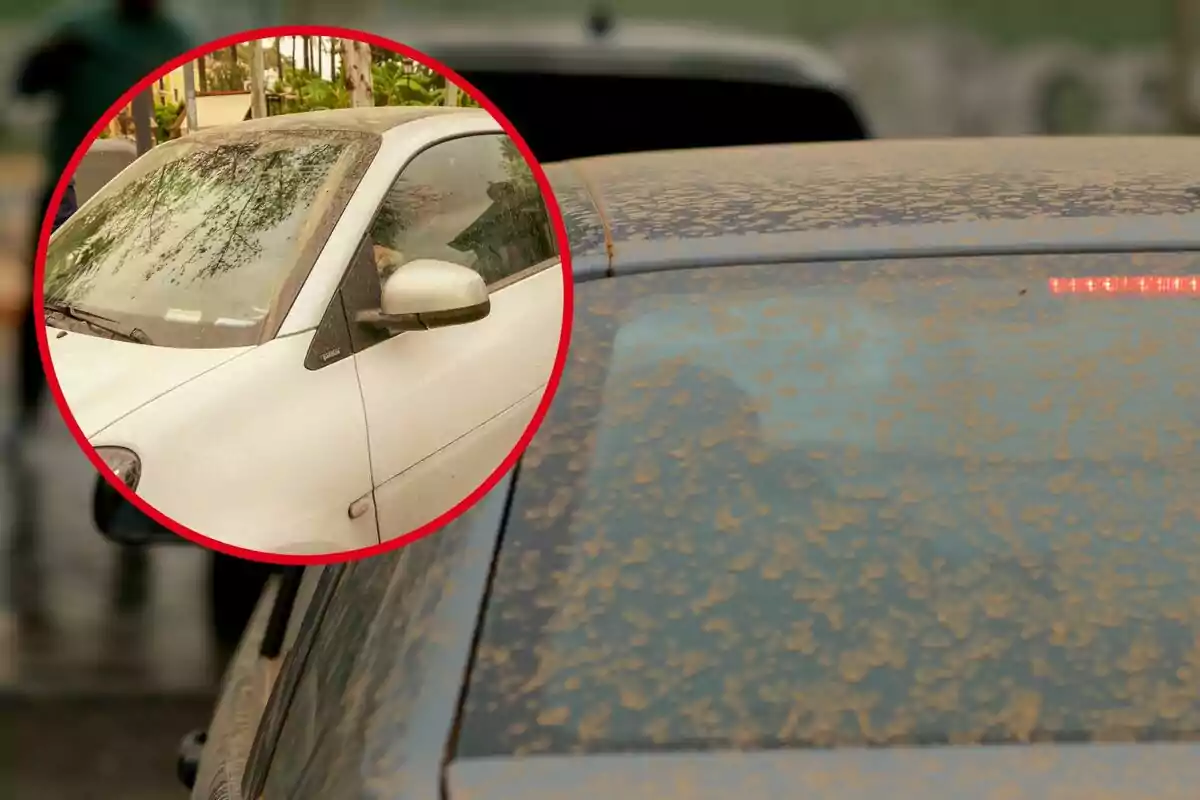 Un coche cubierto de polvo con un círculo resaltando el parabrisas de otro vehículo también sucio. Un coche cubierto de polvo con un círculo resaltando el parabrisas de otro vehículo también sucio.