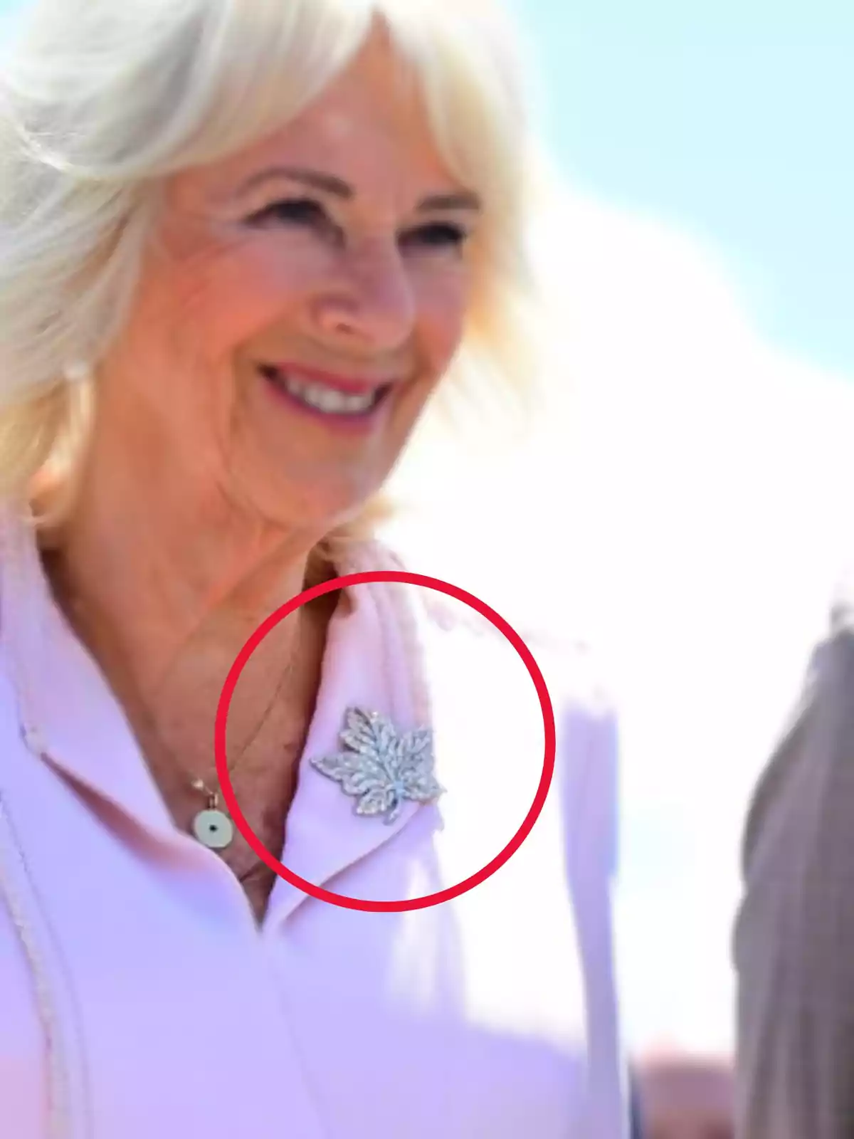 Blonde-haired woman in light-colored clothing smiles while wearing a silver leaf-shaped brooch on her lapel Blonde-haired woman in light-colored clothing smiles while wearing a silver leaf-shaped brooch on her lapel