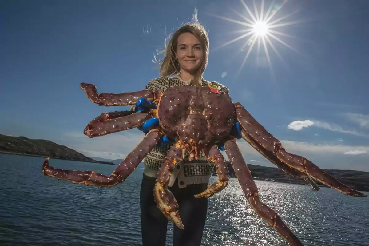 Una persona sostiene un cangrejo grande frente a un paisaje de agua y montañas con el sol brillando en el cielo.