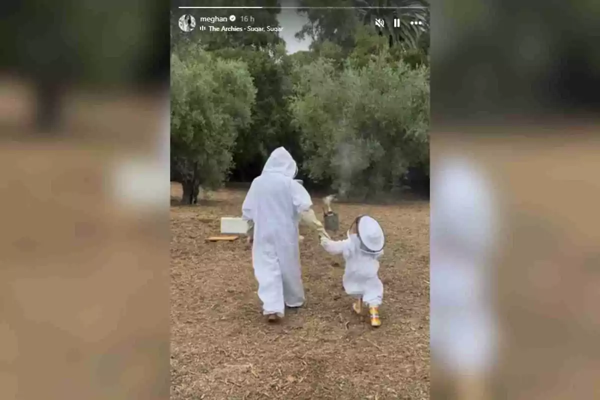 Meghan Markle and his son dressed in beekeeping suits walk away in a field surrounded by trees Meghan Markle and his son dressed in beekeeping suits walk away in a field surrounded by trees