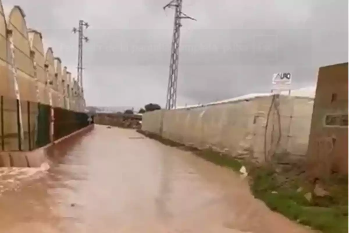 Una calle inundada junto a invernaderos y una torre eléctrica bajo un cielo nublado.