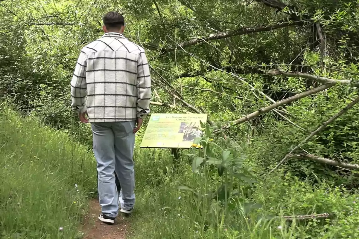 Un hombre camina por un sendero rodeado de vegetación mientras observa un cartel informativo. Un hombre camina por un sendero rodeado de vegetación mientras observa un cartel informativo.
