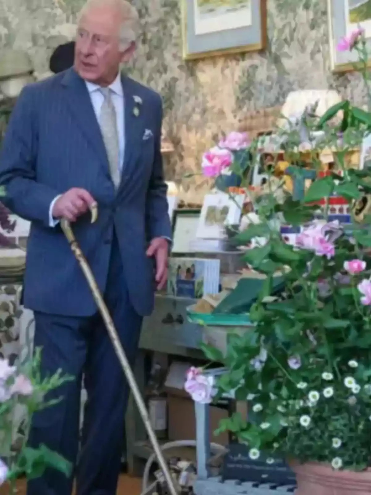 Un hombre mayor con traje azul y bastón está de pie en una habitación decorada con plantas y cuadros. Un hombre mayor con traje azul y bastón está de pie en una habitación decorada con plantas y cuadros.