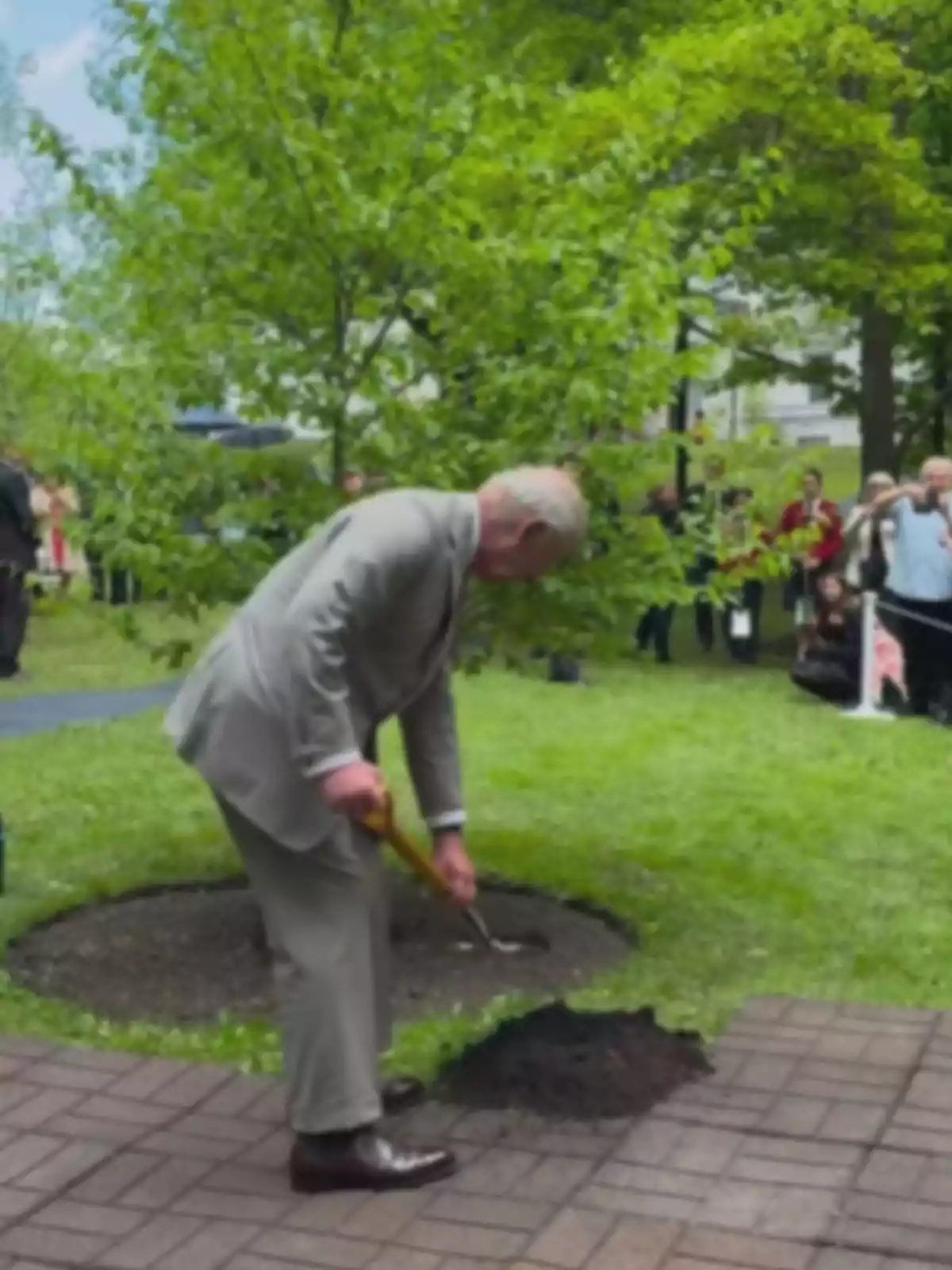 Gray-haired man in a gray suit planting a tree in a park surrounded by grass and people in the background Gray-haired man in a gray suit planting a tree in a park surrounded by grass and people in the background
