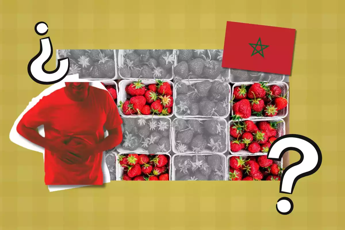 Collage de fresas de Marruecos